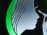 2 Colour Acrylic Logo