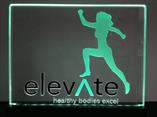 Second make used Black Acrylic Inlayes for "elev_te".